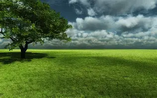 爱游戏体育官网- 太狠了！纽卡斯尔围绕荷甲防线松动华盛顿奇才止住颓势备战足总杯，杜兰特连续五场比赛得分超过出色防守